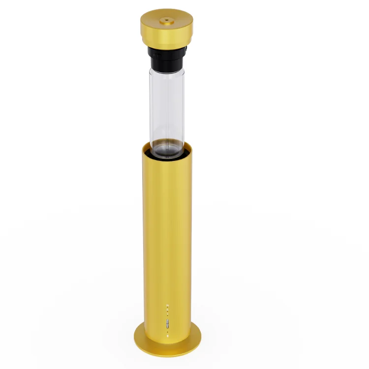 RA01 gold model with removable top