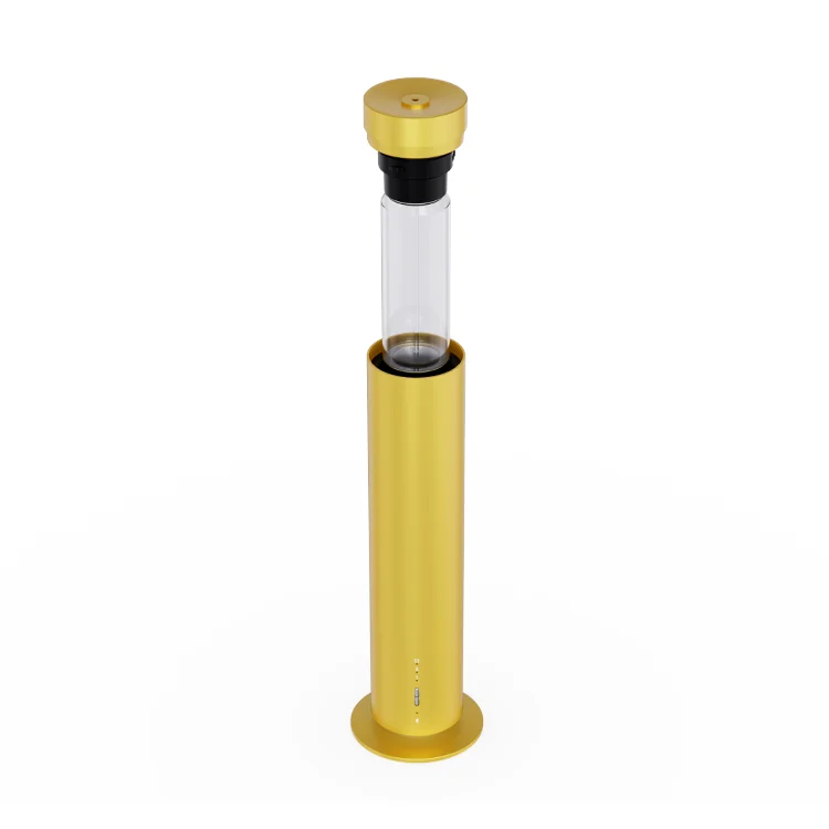RA01 gold model front view